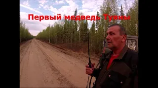 весна 2015 г. первый медведь Туяны