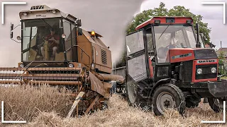 🌾ŻNIWA ŻYTA 2023🌾🔥BIZON REKORD & URSUS 912 W AKCJI🔥🤯KLIMA W BIZONIE🤯 G.R. ŁYKOWSKI