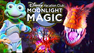 Disney Vacation Club MOONLIGHT MAGIC at Animal Kingdom