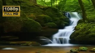 Relaxing Nature River Water Sounds | Ad-Free 4K Water Ambiance for Studying, Relaxation, or Sleep