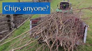 Wood Chipper: Instead of Burning Branches