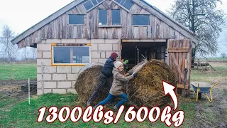 Rolling Round Hay Bale By HANDS