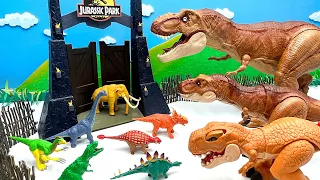 3 Tyrannosaurus Dinosaurs Attack Jurassic Park| Dinosaur Bones And Dino Eggs