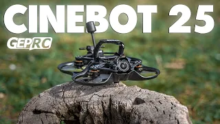 GepRC Cinebot 25 - The NEW Best Small FPV Drone?