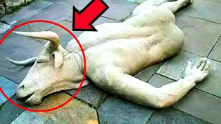 कैमरे में कैद 5 रहस्यमय जानवर| 5 Mysterious Creatures Caught on camera and spotted in Real life.