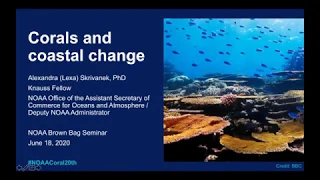 Coral reefs, coastal change and resilient communities
