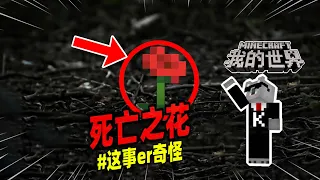 我的世界：玩家发现了一朵死亡之花，它竟能破坏房屋！【Minecraft都市傳說】