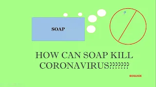 HOW CAN SOAP KILL CORONAVIRUS??????