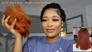 I CUT ALL MY HAIR OFF! Big Chop 2023 + NEW Wash n Go Routine for Short Hair!!