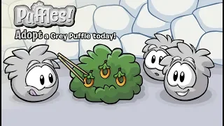 Club Penguin Rewritten Grey Puffle Dojo LIVE Walkthrough