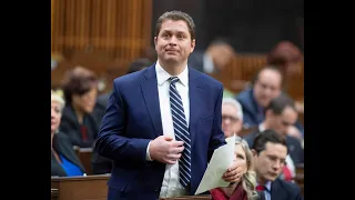 Andrew Scheer's downfall (Why We Should Care)