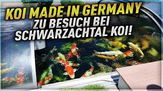 Zu Besuch bei SCHWARZACHTALKOI!