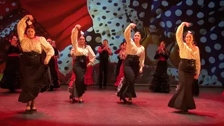 RUMBA BAMBOLEO (Gala 25 Aniversario)