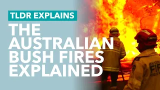 Australia's Bush Fires Explained - TLDR News