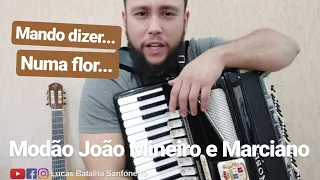 Como tocar SE EU NÃO PUDER TE ESQUECER (João Mineiro e Marciano) - Aula Sanfona