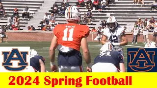 Team Defense vs Team Offense vs Team Red, 2024 Auburn Spring Football Game Highlights