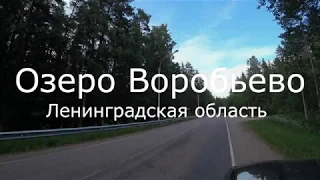 Лен. область куда поехать отдохнуть - озеро Воробьево.