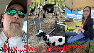 What will we do at the TSC animal swap?