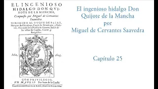 AUDIOLIBRO: DON QUIJOTE. CAP. 25