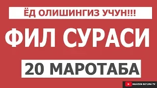 ФИЛ СУРАСИ - [ЁД ОЛИШИНГИЗ УЧУН] 20 МАРОТАБА - ҚИРОАТ АБДУРАШИД ҚОРИ БАҲРОМОВ