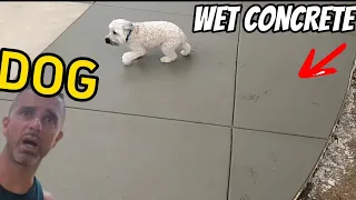 CUSTOMERs DOG Completely DESTROYS my FRESH concrete