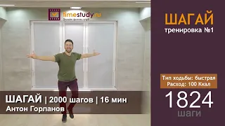 ШАГАЙ ПОД МУЗЫКУ 16 мин/ 2000 шагов /100 Ккал ДОМА с Антоном Горлановым