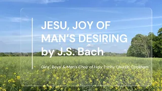 Jesu, Joy of Man's Desiring - J.S. Bach