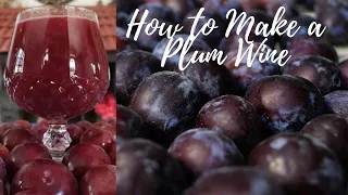 How to Make Plum Wine (In 12 days)