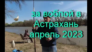За воблой в Астрахань. Апрель 2023