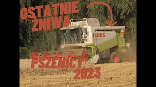 🌾 OSTATNIE ŻNIWA PSZENICY 2023 🌾CLAAS LEXION 450🚜👨‍🌾👨‍🌾