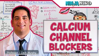 Calcium Channel Blockers | Mechanism of Action, Indications, Adverse Reactions, Contraindications