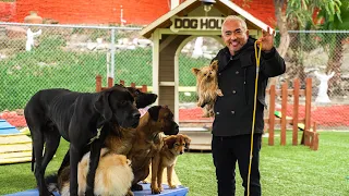 CESAR MILLAN TEACHES YOU HOW TO USE THE LEASH!