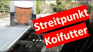 Streitpunkt Koifutter - worauf beim Futterkauf achten?