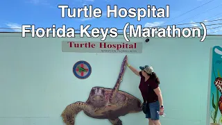 Sea Turtle Hospital - Marathon Florida Keys - Rambling with Phil