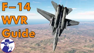DCS F-14A WVR Guide | How to Sparrow & Sidewinder in F-14 | DCS Cold War Multiplayer Guide