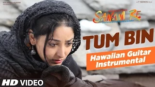 Tum Bin VIDEO SONG | SANAM RE | (Hawaiian Guitar) Instrumental by Rajesh Thaker || T-Series