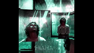Stay Album - the kid laroi | after effects edit [ rm : @siretfest ]
