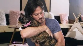 EXCLUSIVE: Watch Ian Somerhalder Play With Cute Kittens and Talk 'Kedi' With Director Ceyda Torun