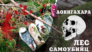 АОКИГАХАРА. Один в лесу самоубийц || THE CREEPIEST FOREST IN JAPAN. AOKIGAHARA