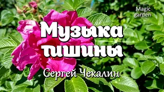 Музыка тишины - Сергей Чекалин. Красивая мелодия. Музыка для души.