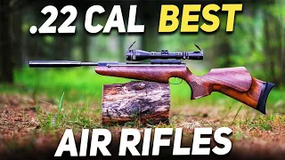 Top 10 Best .22 Cal Air Rifles In the World(2022)