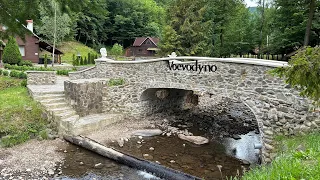 Воєводино. Найкраще місце 🏞️Величний ліс. Озеро.