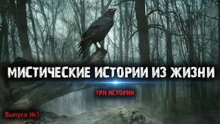 Мистические истории из жизни (3в1) Выпуск №3