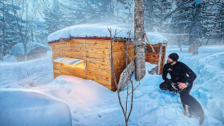 ЗЕМЛЯНКА В ЛЕСУ - УЛУЧШАЮ ДОМ ПОД ЗЕМЛЕЙ | ДАРЮ ПОДАРКИ ПОДПИСЧИКАМ