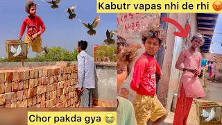 Kabutr gayab kar diye 😭 ( Pigeons aree no more 🤬 )