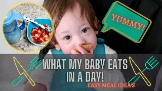 What my baby eats in a day |EASY meal ideas for a 1 year old!