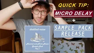 micro house quick tip: MICRO DELAY | distilled noise