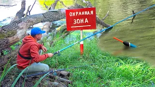 РЫБАЛКА на ЗАБРОШЕННОМ ПЛАТНИКЕ!!! ЧТО ОНИ ОСТАВИЛИ ПОСЛЕ СЕБЯ.. ЛОВЛЯ КАРАСЯ на ПОПЛАВОК ЛЕТОМ 2024