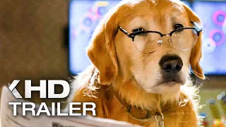 CATS & DOGS 3: Paws Unite Trailer (2020)