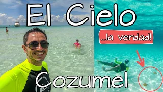 El Cielo Cozumel ⭐ Precio del Tour 💵 ¿Dónde comprarlo más barato? ✅ ¿Vale la pena? ...la verdad! 😱